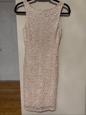 Sleeveless Lace Sheath Dress in Blush